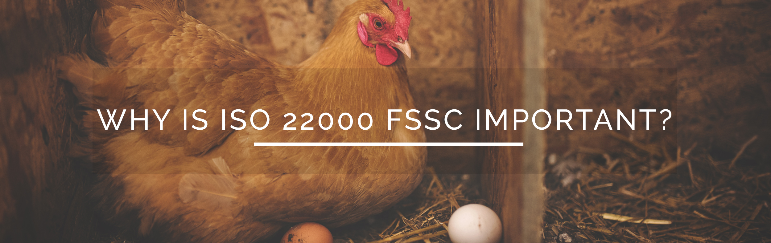 ISO-22000-fssc